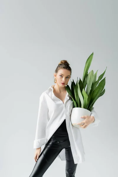 Jeune femme en chemise oversize blanche tenant pot de fleurs avec plante exotique isolée sur gris — Photo de stock