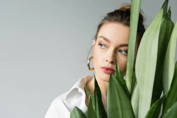 Portrait of young woman with natural makeup looking away near leaves of exotic plant isolated on grey — Stock Photo