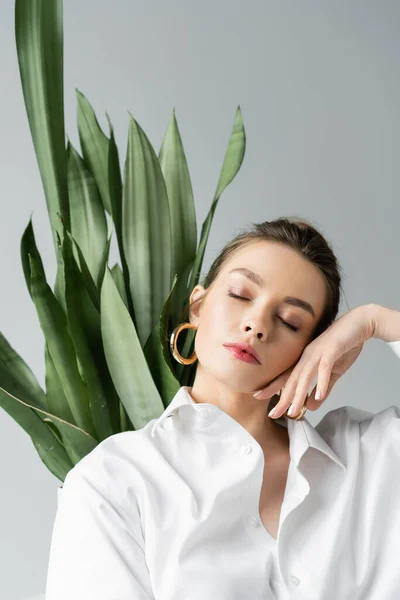 Portrait of sensual woman holding hand near face while posing with closed eyes near green plant isolated on grey — Stock Photo