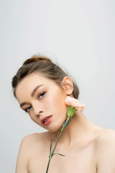 Donna affascinante con trucco naturale che tiene il fiore di garofano vicino al viso mentre guarda la fotocamera isolata sul grigio — Foto stock