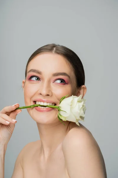 Smiling woman with naked shoulders and makeup posing with white rose in teeth isolated on grey — Foto stock