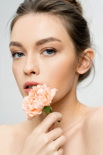 Bella donna con trucco naturale e pelle perfetta che tiene il fiore di garofano vicino al viso mentre guarda la fotocamera isolata sul grigio — Foto stock