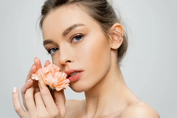 Sensual woman with perfect skin and natural makeup holding fresh carnation and looking at camera isolated on grey — Stock Photo