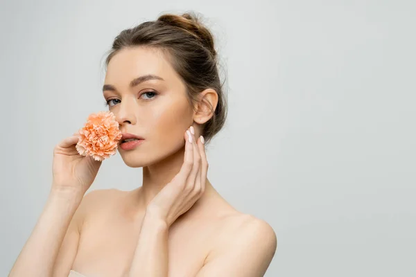 Charming woman with perfect skin and bare shoulders holding carnation flower near face isolated on grey — Stock Photo