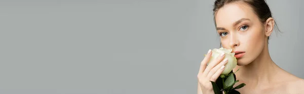 Young and pretty woman with perfect skin holding ivory rose and looking at camera isolated on grey, banner — Stock Photo