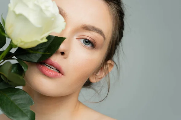 Portrait of young woman with clean skin obscuring face with fresh rose and looking at camera isolated on grey — Foto stock