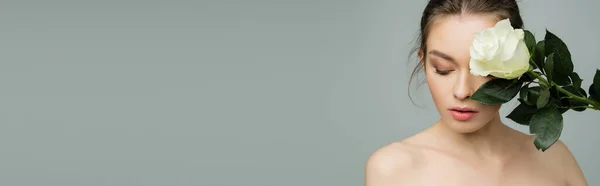 Giovane donna con spalle nude e pelle perfetta viso oscuro con rosa fresca isolato su grigio, banner — Foto stock