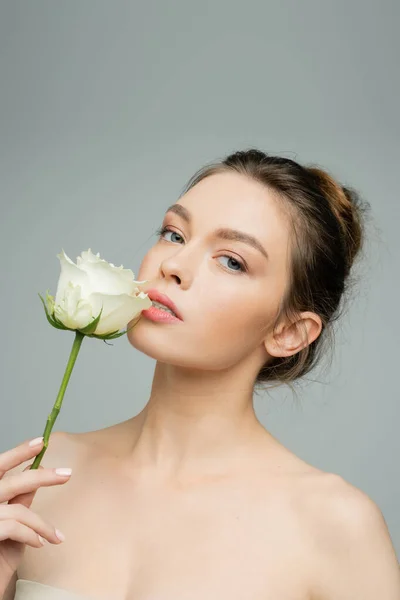 Affascinante donna con spalle nude e trucco naturale con rosa bianca vicino alle labbra isolate sul grigio — Foto stock