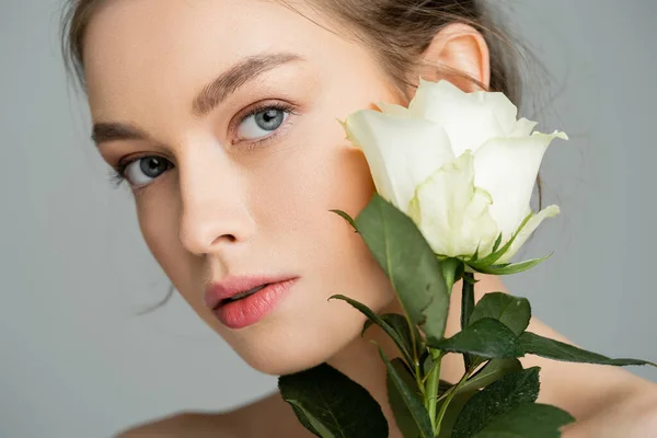 Портрет красивої жінки з натуральним макіяжем на ідеальному обличчі, дивлячись на камеру біля білої троянди ізольовано на сірому — стокове фото