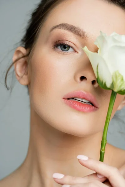 Portrait of sensual woman obscuring face with white rose while looking at camera isolated on grey — Fotografia de Stock