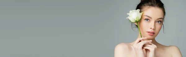 Donna affascinante con pelle perfetta e spalle nude con rosa bianca isolata sul grigio, banner — Foto stock