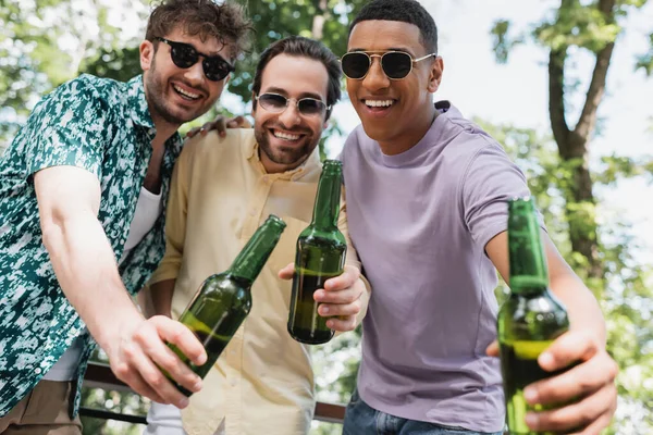 Überglückliche multiethnische Männer mit Sonnenbrille, die mit Bier anstoßen und im Sommerpark in die Kamera lächeln — Stockfoto