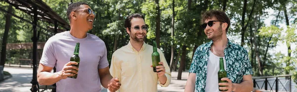 Amis interracial joyeux dans des vêtements à la mode et des lunettes de soleil marchant avec de la bière dans un parc vert, bannière — Photo de stock