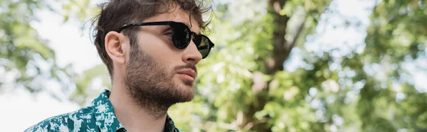 Bärtiger Mann mit Sonnenbrille steht im Sommerpark, Transparent — Stockfoto