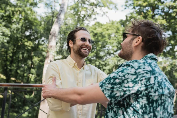 Cheerful friends in sunglasses meeting in park in summer — Stock Photo