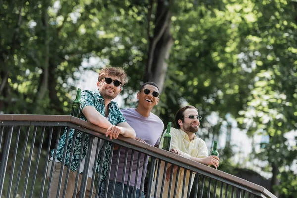 Unbekümmerte Freunde mit Sonnenbrille verbringen Zeit in der Nähe von Bier am Geländer im Sommerpark — Stockfoto