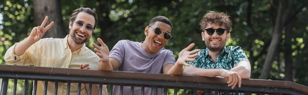 Cheerful multiethnic friends in sunglasses gesturing in summer park, banner — Stock Photo