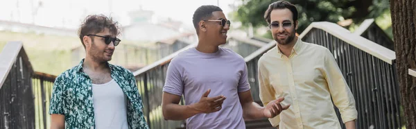 Positive interracial men in sunglasses talking while walking in summer park, banner — Stock Photo