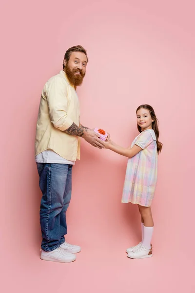 Ragazza positiva che dà regalo al papà barbuto e guardando la fotocamera su sfondo rosa — Foto stock