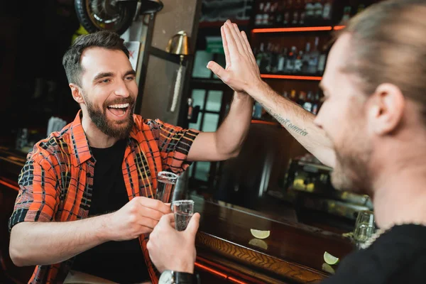 Hombres barbudos alegres dando choca y sosteniendo vasos de tequila en el bar - foto de stock