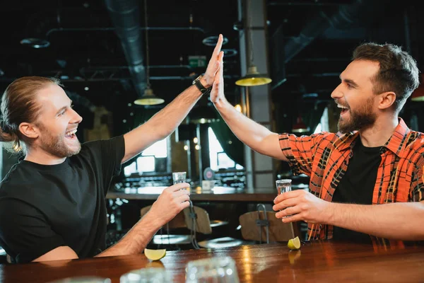 Веселые друзья, дающие пять и держащие текилу возле спелых лаймов в баре — стоковое фото