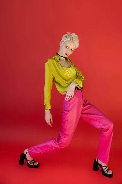 Повна довжина стильної моделі альбіноса в модному вбранні позує на кармін рожевий — Stock Photo