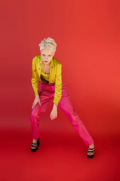 Longueur totale de jeune modèle albinos en tenue tendance posant sur rose carmin — Photo de stock