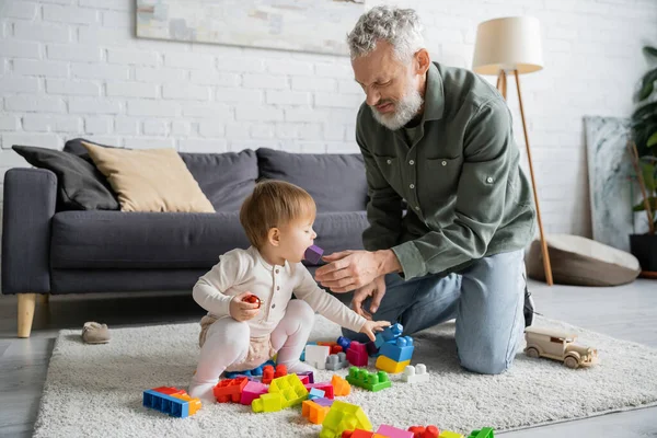 Бородатий чоловік бере іграшку з рота маленької онучки, граючи в гру будівельні блоки на підлозі у вітальні — стокове фото