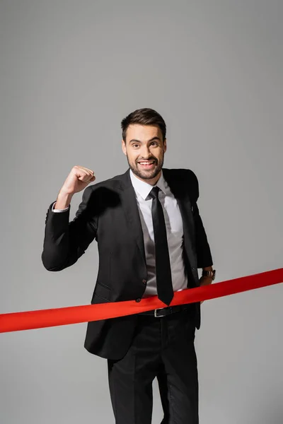 Joyful businessman looking at camera and showing triumph gesture near red finish ribbon isolated on grey — Stock Photo
