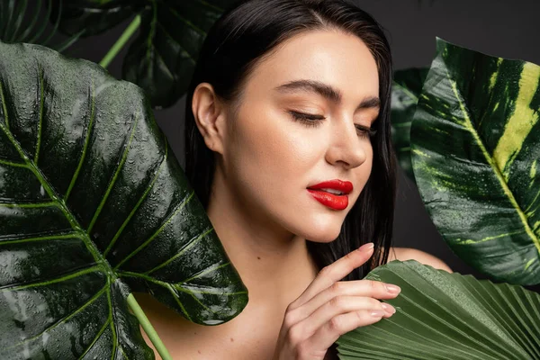 Charming young woman with brunette hair and red lips touching tropical and exotic green palm leaves with raindrops on them isolated on grey background — Stock Photo
