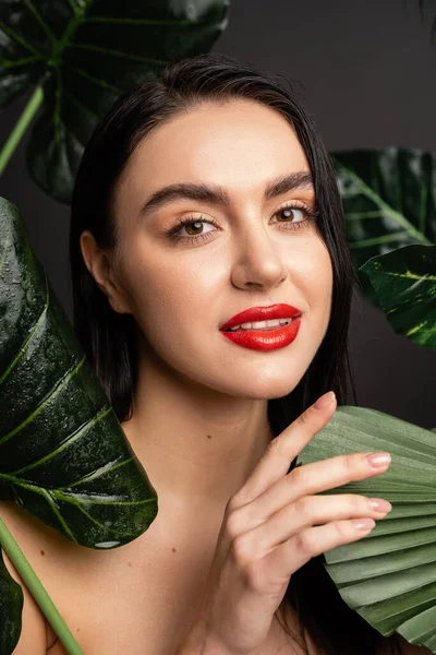 Приваблива молода жінка з брюнеткою волоссям і червоними губами позує навколо тропічних і екзотичних зелених пальмових листя з дощовиками на них ізольовані на сірому фоні — стокове фото