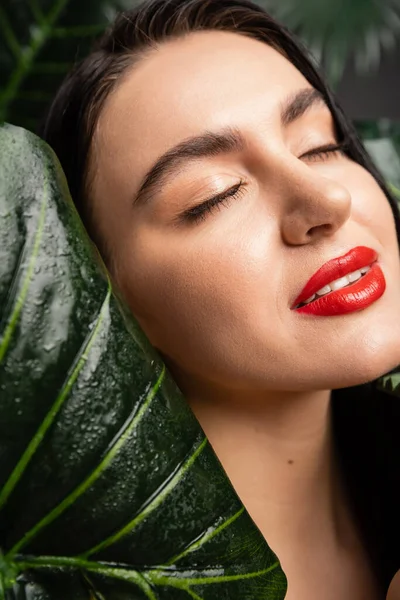 Vista de cerca de la seductora joven con el pelo moreno y los labios rojos sonriendo mientras posa con los ojos cerrados alrededor de las hojas de palmeras tropicales, húmedas y verdes con gotas de lluvia - foto de stock
