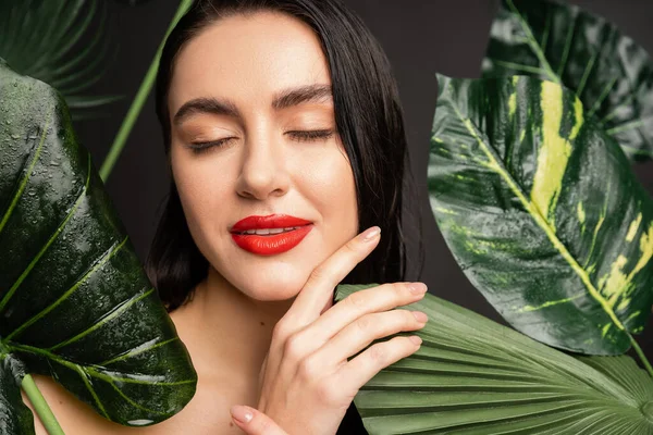 Очаровательная молодая женщина с брюнетками и красными губами позирует с закрытыми глазами вокруг тропических и экзотических зеленых пальмовых листьев с капельками дождя на них изолированы на сером фоне — стоковое фото