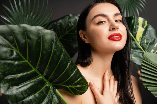 Charming woman with brunette hair and red lips smiling while posing with hand on chest around tropical, wet and green palm leaves with raindrops on them and looking at camera — Stock Photo