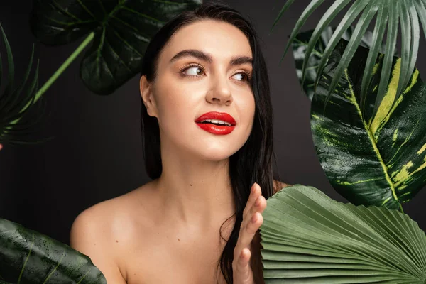 Hermosa joven con el pelo morena y labios rojos posando alrededor de hojas de palma verde tropical y exótica con gotas de lluvia en ellos aislados sobre fondo gris - foto de stock