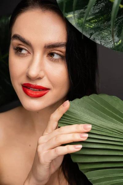 Mujer joven soñadora con cabello moreno y labios rojos posando alrededor de hojas de palmeras verdes tropicales y exóticas con gotas de lluvia sobre ellas aisladas sobre fondo gris - foto de stock