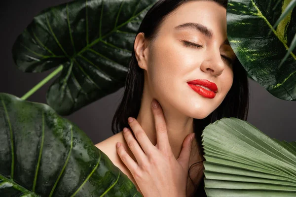 Pleased young woman with brunette hair and red lips smiling while posing with closed eyes next to tropical green palm leaves with raindrops on them — Stock Photo