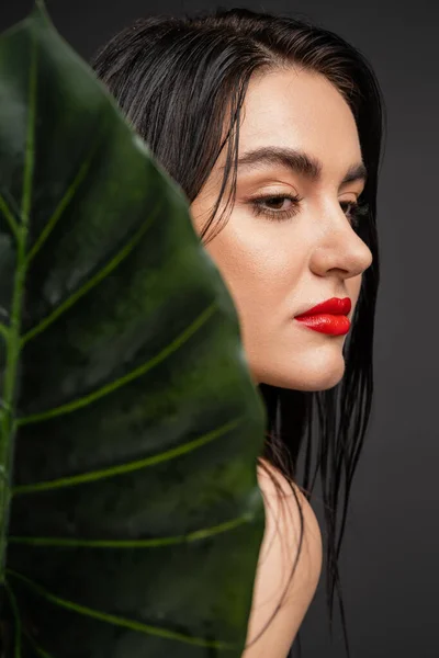 Charmante junge Frau mit brünetten und nassen Haaren, roten Lippen und perfekter Haut, die neben verschwommenem grünem Palmblatt posiert und isoliert auf grauem Hintergrund wegschaut — Stockfoto