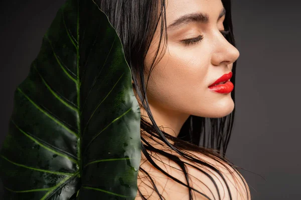 Очаровательная молодая женщина с брюнеткой и влажными волосами, красные губы и идеальная кожа позирует с закрытыми глазами рядом с размытыми тропическими зелеными пальмовыми листьями изолированы на сером фоне — стоковое фото