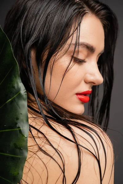 Vista lateral de la seductora joven con cabello moreno y húmedo, labios rojos y piel perfecta posando junto a la borrosa hoja de palma verde tropical aislada sobre fondo gris - foto de stock