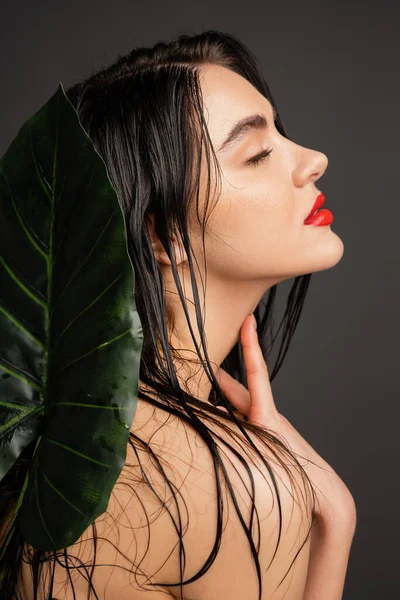 Side view of beautiful young woman with brunette and wet hair, red lips and perfect skin posing with hand on neck next to blurred tropical green palm leaf isolated on grey background — Stock Photo