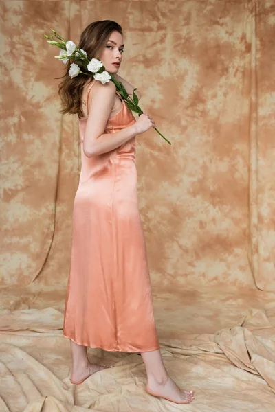 Comprimento total de descalço e morena e jovem mulher de seda rosa vestido deslizante segurando flores brancas, enquanto em pé sobre fundo bege manchado, sensualidade, elegância, sofisticação — Fotografia de Stock