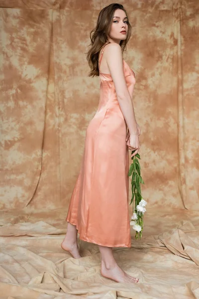 Full length of barefoot and brunette and young woman in pink silk slip dress holding white flowers while looking at camera while standing on mottled beige background, sensuality, elegance — Stock Photo