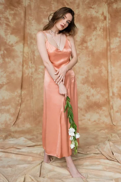 Comprimento total de cativante e morena e jovem mulher em vestido de deslizamento de seda rosa segurando flores brancas enquanto olha para a câmera enquanto está em pé sobre fundo bege manchado, sensualidade, elegância — Fotografia de Stock