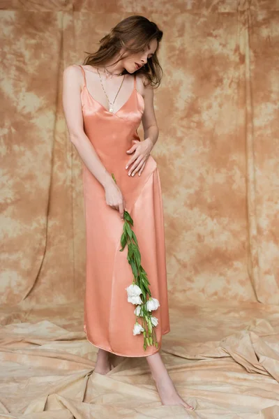 Longitud completa de la sensual mujer joven en vestido de seda rosa deslizamiento sosteniendo flores blancas mientras está de pie sobre fondo beige moteado, elegante, elegancia, mirando hacia abajo, descalzo - foto de stock