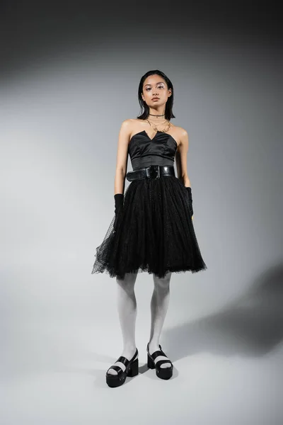 Full length of brunette and asian young woman with short hair posing in black strapless dress with tulle skirt and gloves, looking at camera on grey background, wet hairstyle, natural makeup — Stock Photo