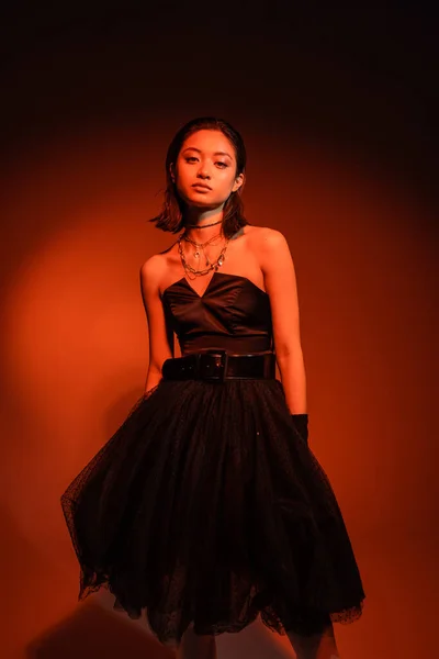 Стильная азиатская женщина с короткими волосами и влажной прической позирует в черном платье без бретелек с тюлем юбка и перчатки, стоя на оранжевом фоне с красным освещением, золотые украшения, молодая модель — стоковое фото