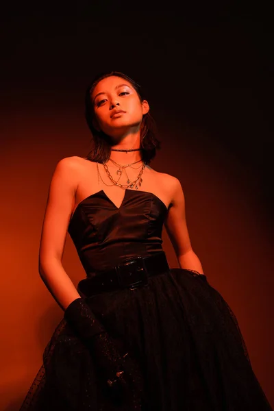 Confident asian woman with wet hairstyle posing in black strapless dress with tulle skirt and gloves while standing on dark orange background with red lighting, golden jewelry, young model — Stock Photo