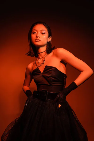 Мечтательная азиатская женщина с короткими волосами и влажной прической позирует в черном платье без бретелек с тюлем юбка и перчатки, стоя на оранжевом фоне с красным освещением, золотые украшения, молодая модель — стоковое фото