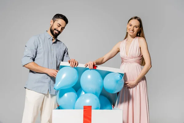 Lächelnd und elegant schwangere Frau öffnet große Geschenkbox mit blauen Luftballons in der Nähe Ehemann während Baby-Dusche isoliert auf grau, werdenden Eltern Konzept, Geschlechterparty, es ist ein Junge — Stockfoto